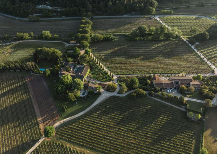 Image of Villa Syrah