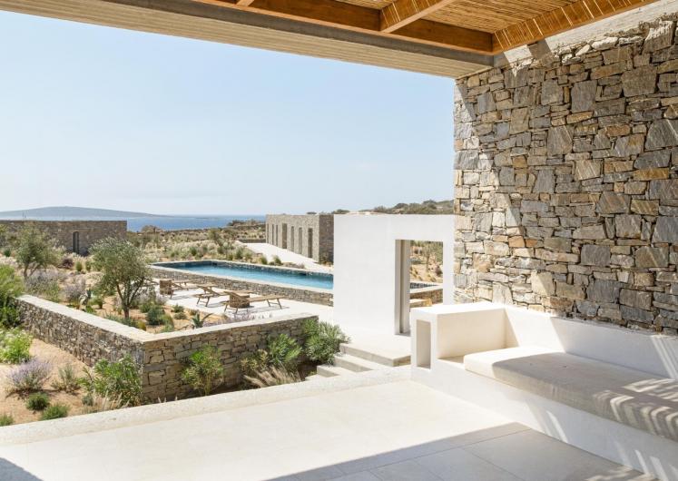 Image of The Wanderer