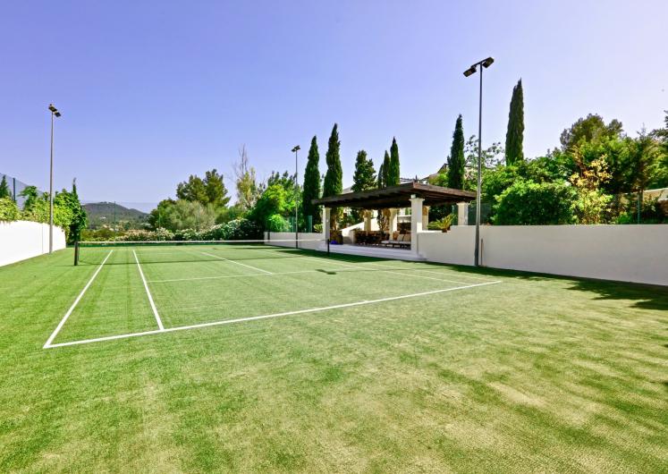 Image of Can Gerbera