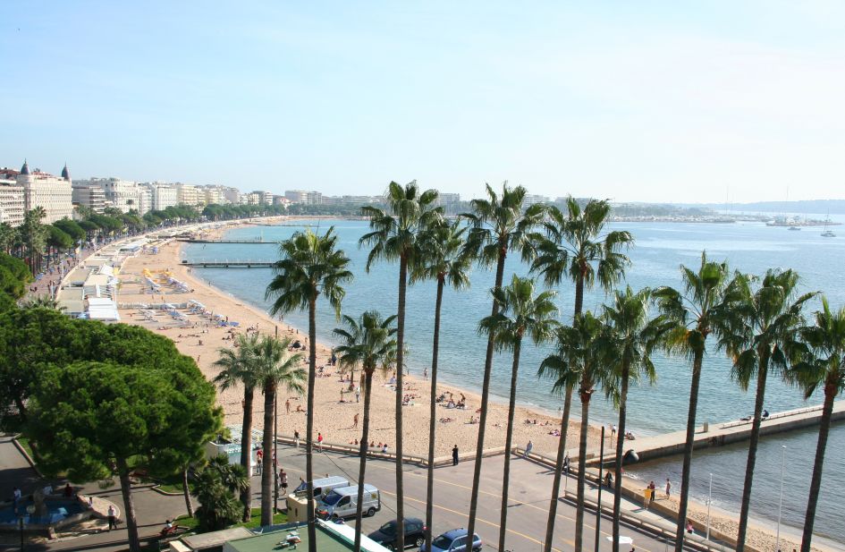 La Croisette, promenade of Cannes with palm trees. A great place for a luxury holiday on the French Riviera. 