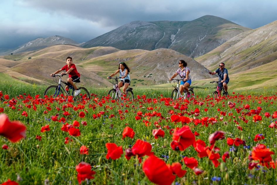 Family biking around the valleys of Umbria, surrounded by red flowers and mountains in the background.  