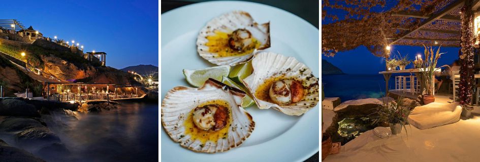 Left: restaurant from afar nestled into the rockface in the evening with fairy lights adding ambience. Middle: fresh oysters, plated up with seasoning and garnish. Right: the alfresco dining area featuring the ocean pool. 