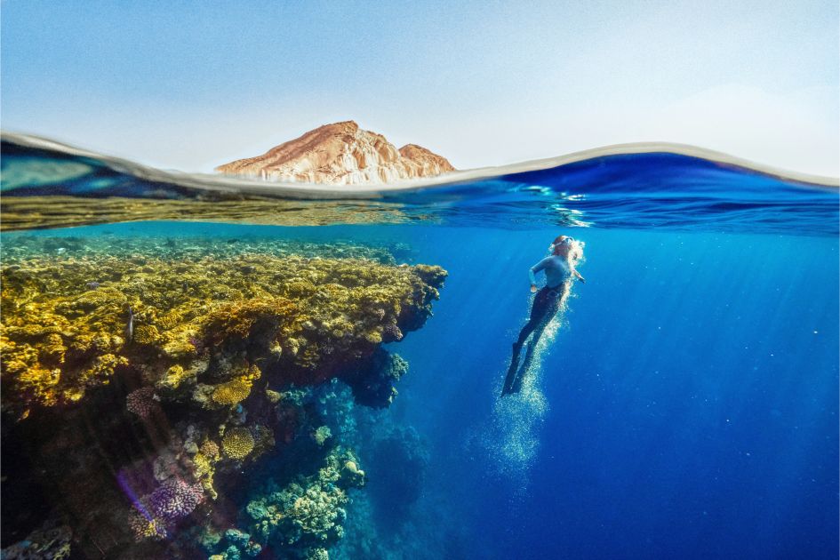 6 Snorkelling Spots Around The World © Zorotoo's Images via Canva.com Woman snorkelling ascending to the water's surface with underwater coral seen to the left and the horizon above the waves.