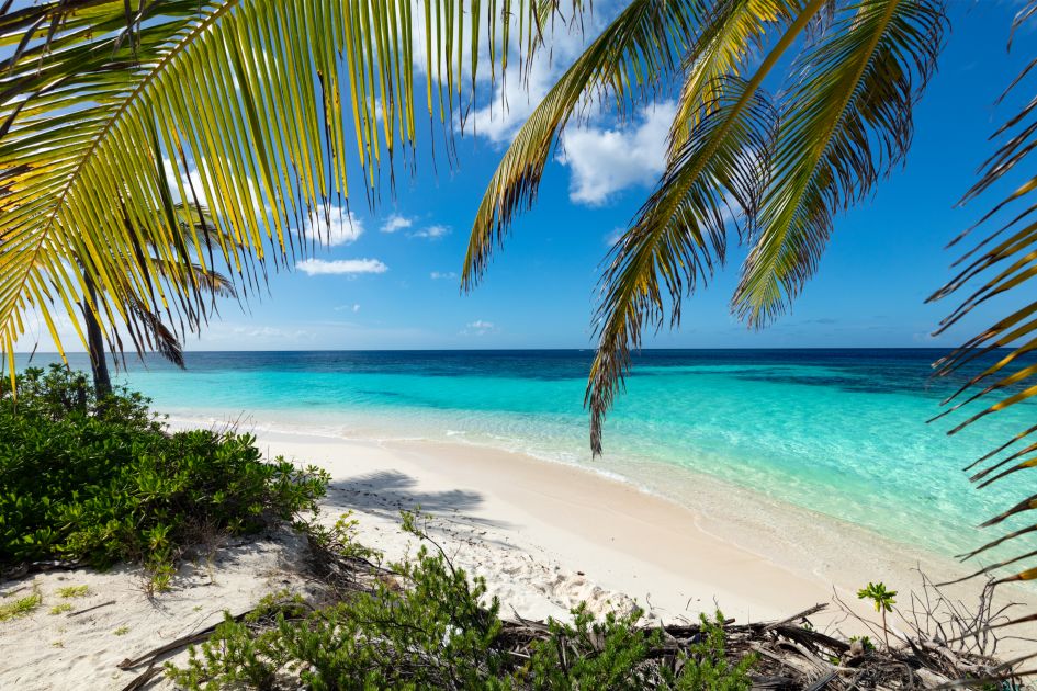 Shoal Bay, Anguilla © cdwheatley via Canva.com Looking through the palm trees and out to the white sands and turquoise waters of Shoal Bay in Anguilla, painting a quintessential Caribbean setting for a villa holiday regardless of the Saint Martin vs Anguilla comparison!