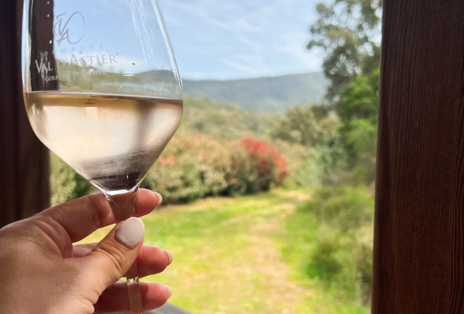 Wine Tasting in St Tropez Glass of crisp white wine focussed in the foreground before blurred scenery of a St Tropez vineyard in the background.